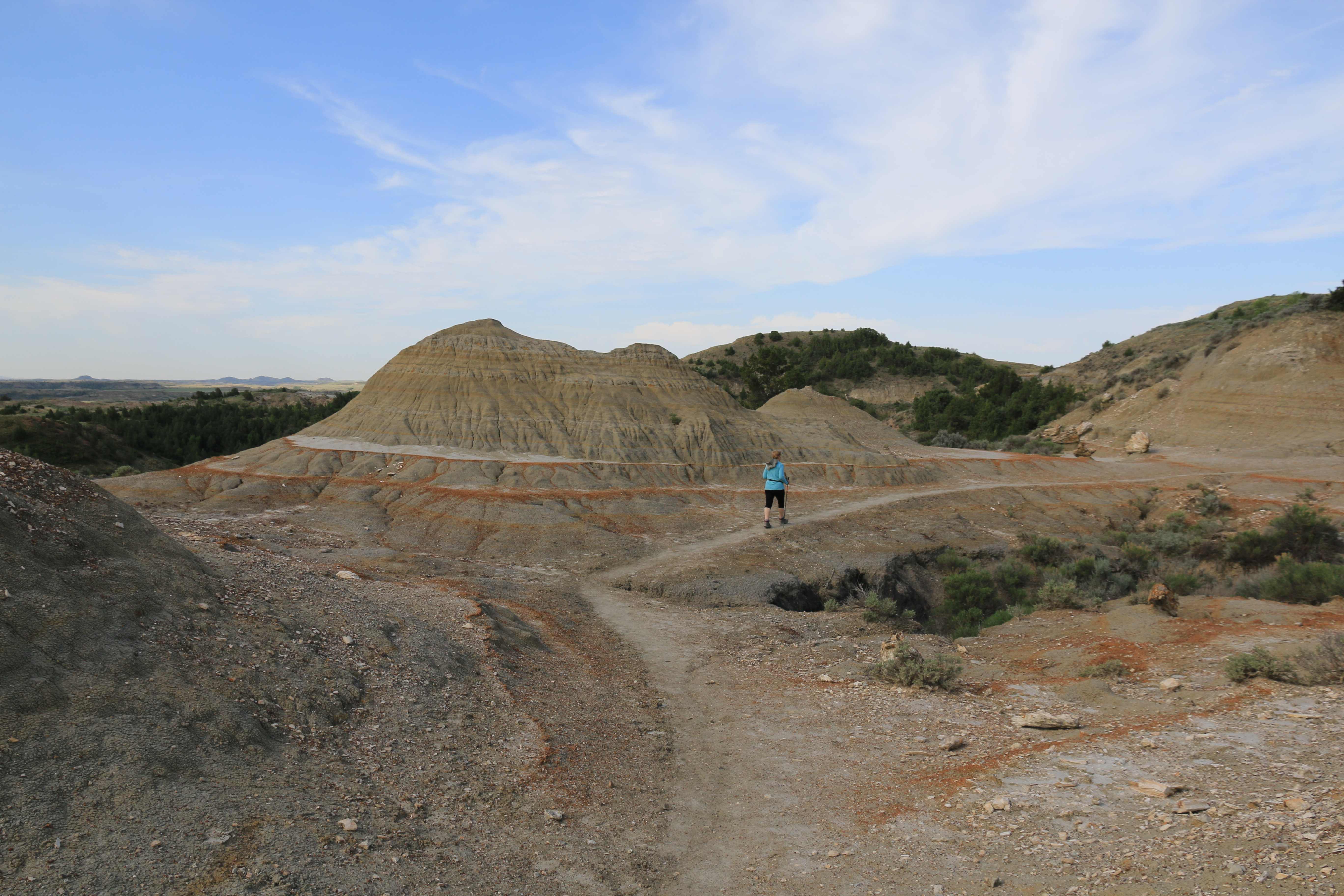 Theodore Roosevelt NP